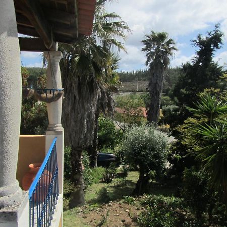 Casa Amarela Apartment Sao Pedro de Tomar Екстериор снимка