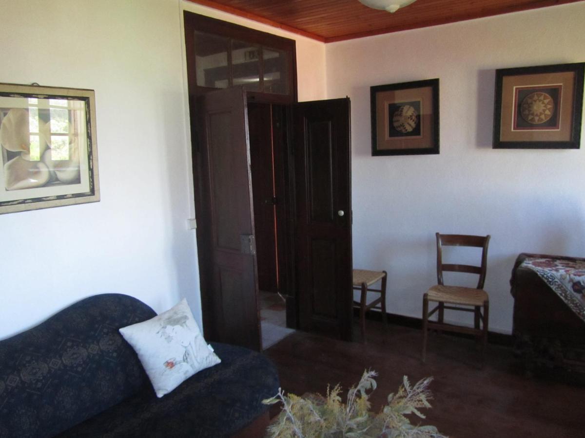Casa Amarela Apartment Sao Pedro de Tomar Екстериор снимка