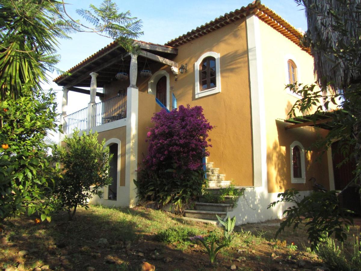 Casa Amarela Apartment Sao Pedro de Tomar Екстериор снимка